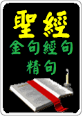 「聖經圖表導航」經句、金句、精句：書本